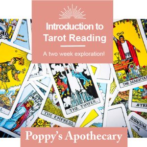 Poppy's Apothecary Tarot Classes