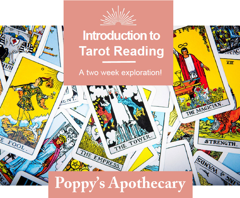 Poppy's Apothecary Tarot Classes