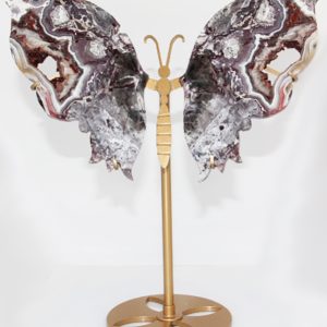 Mexican Lace Agate Butterfly