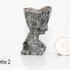 Groot Carvings - Image 31