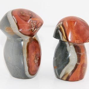 Polychrome Jasper Mushrooms