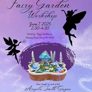 Fairy Garden Workshop